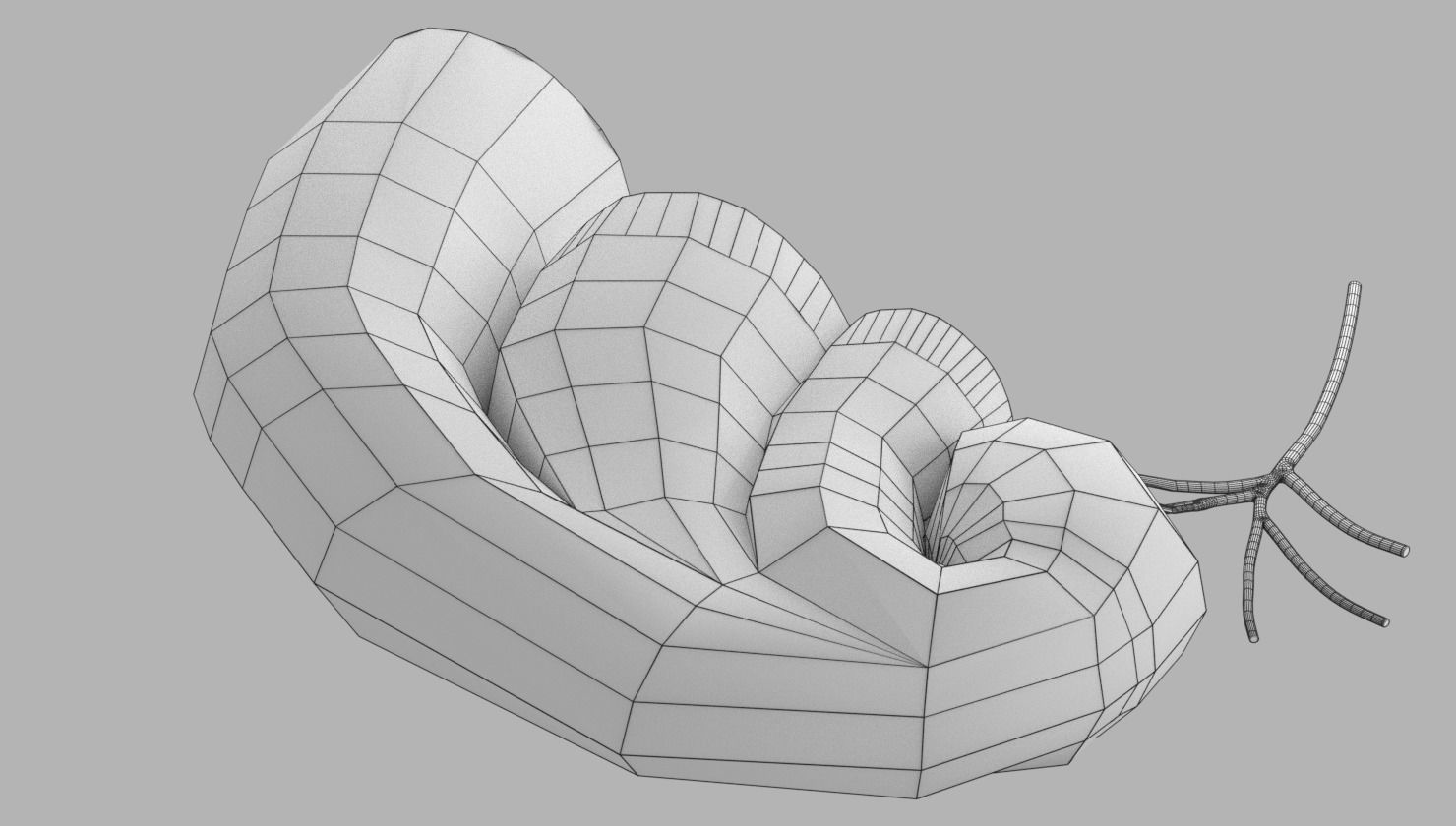 Cochlear duct organ of corti inner ear 3D model_21