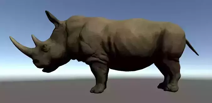 Rhinoceros