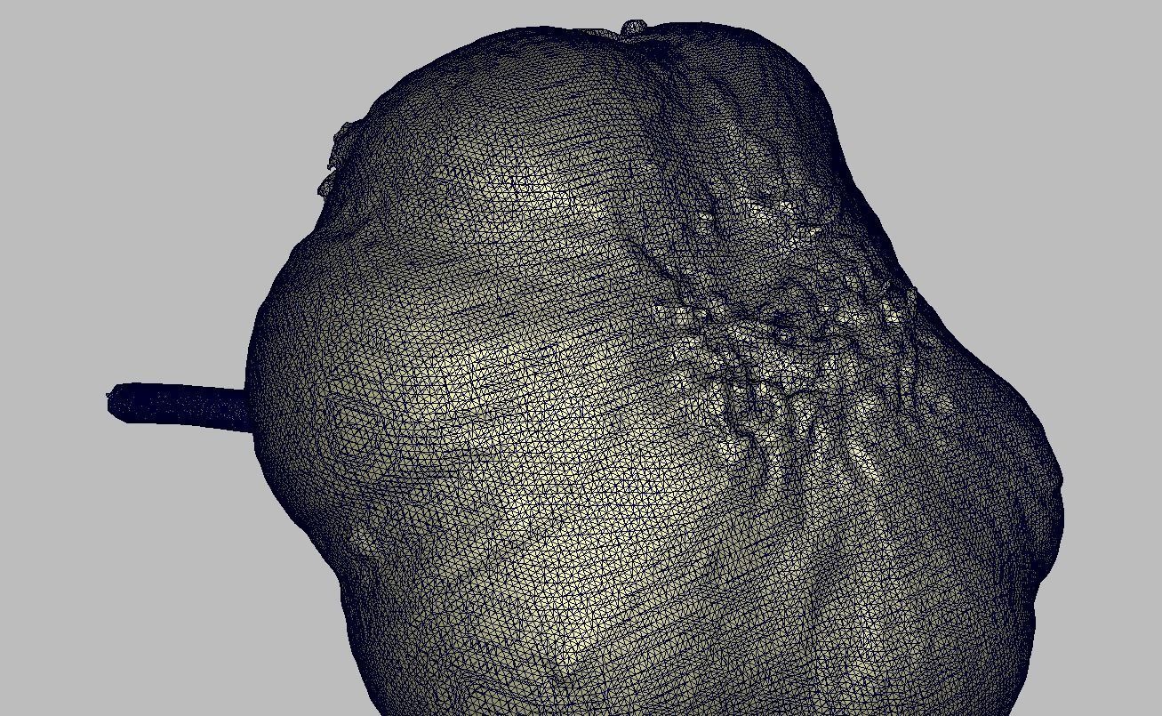 Garlic bulb Low-poly 3D model_3