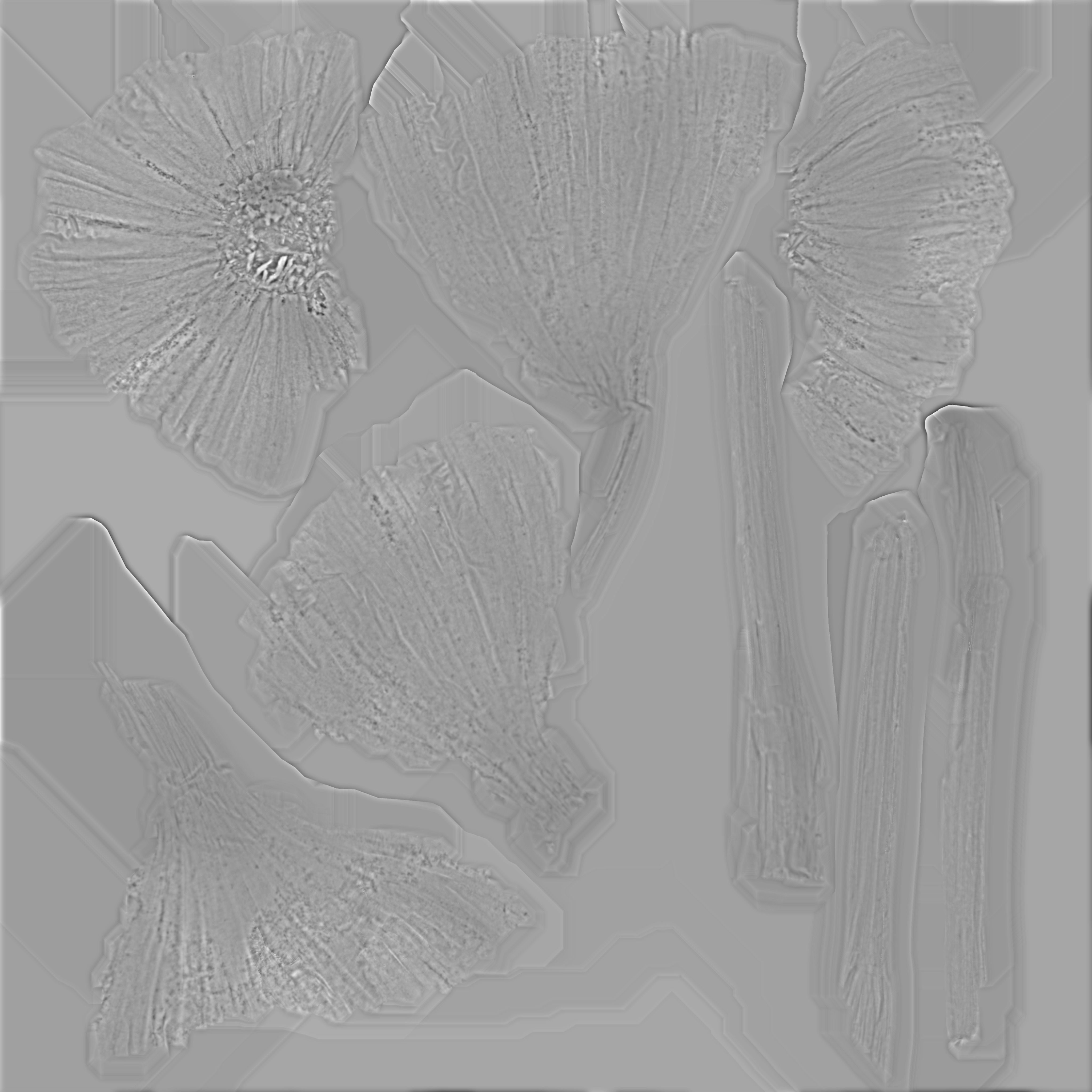 Garlic bulb Low-poly 3D model_14