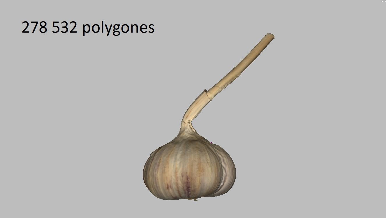 Garlic bulb Low-poly 3D model_1