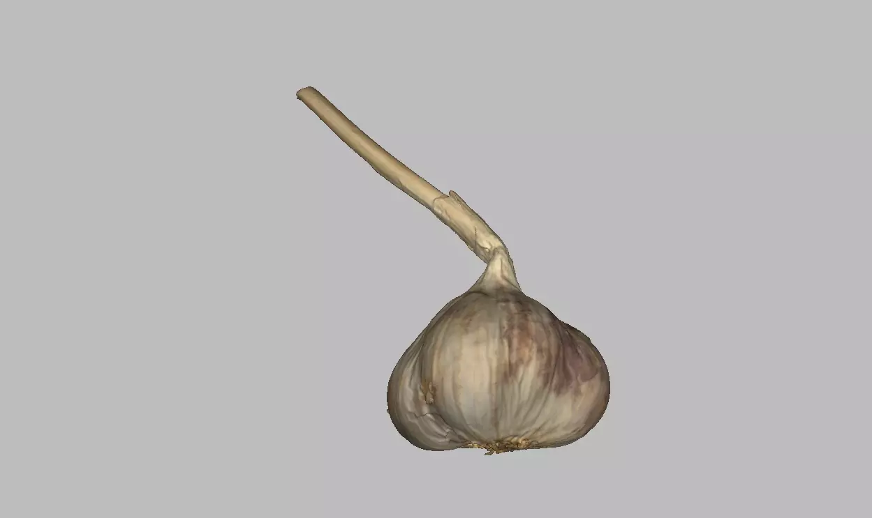 Garlic bulb Low-poly 3D model_0
