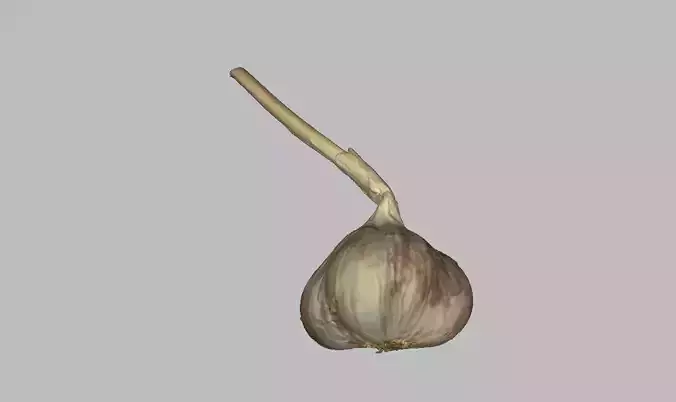 Garlic bulb Low-poly 3D model