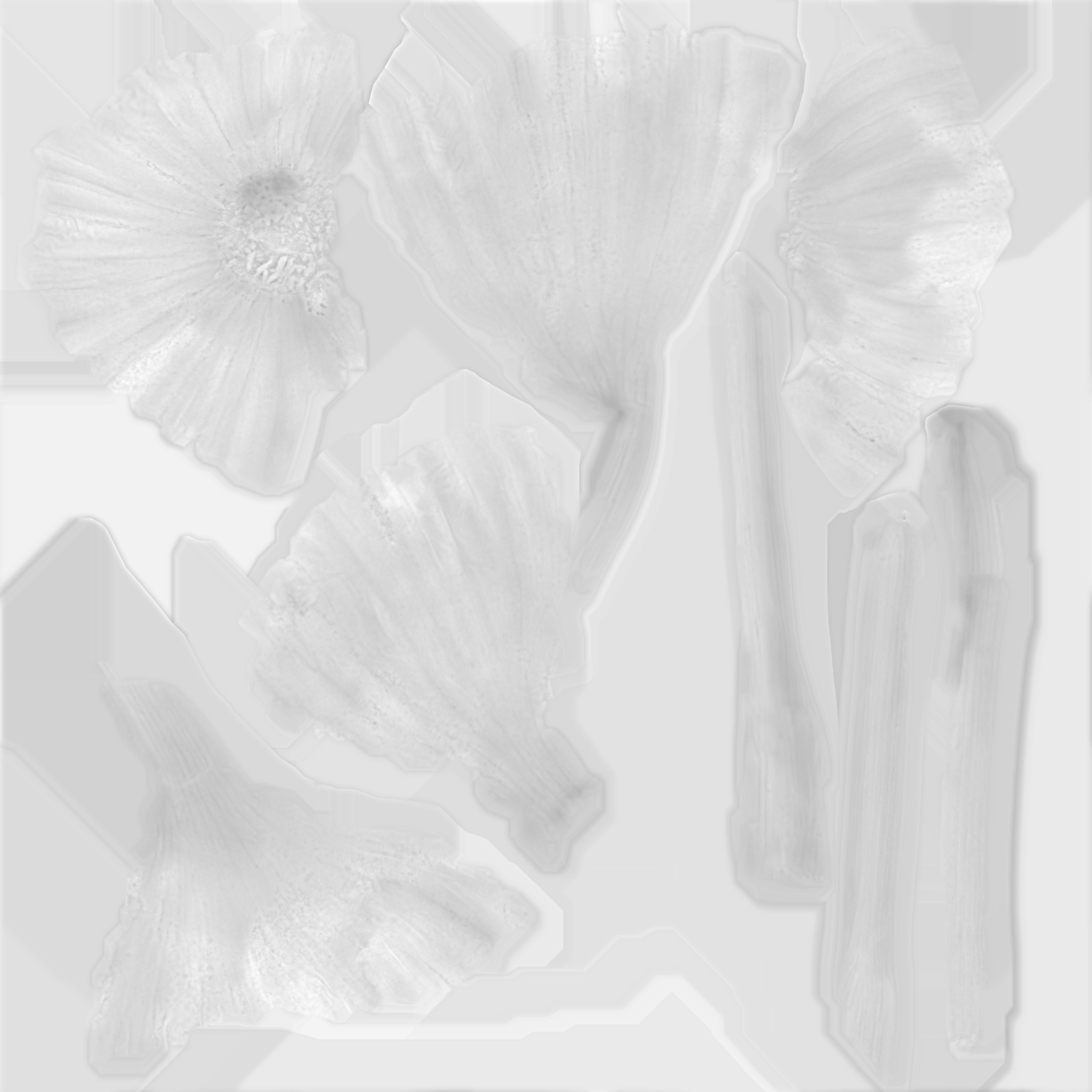 Garlic bulb Low-poly 3D model_12