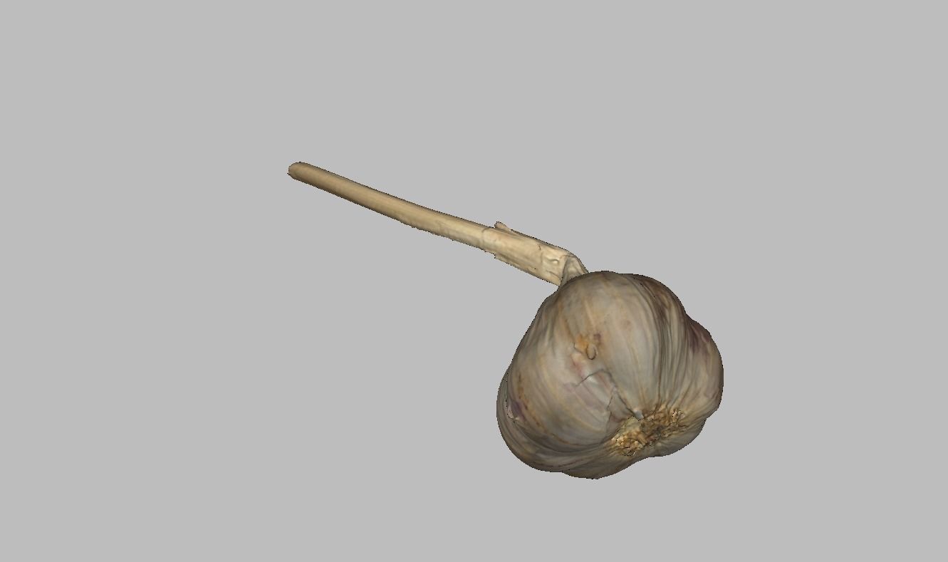 Garlic bulb Low-poly 3D model_15