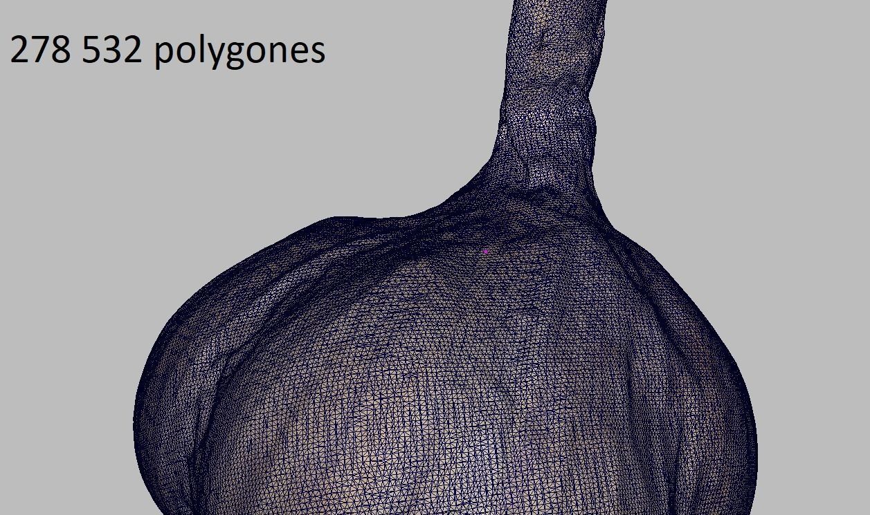 Garlic bulb Low-poly 3D model_2