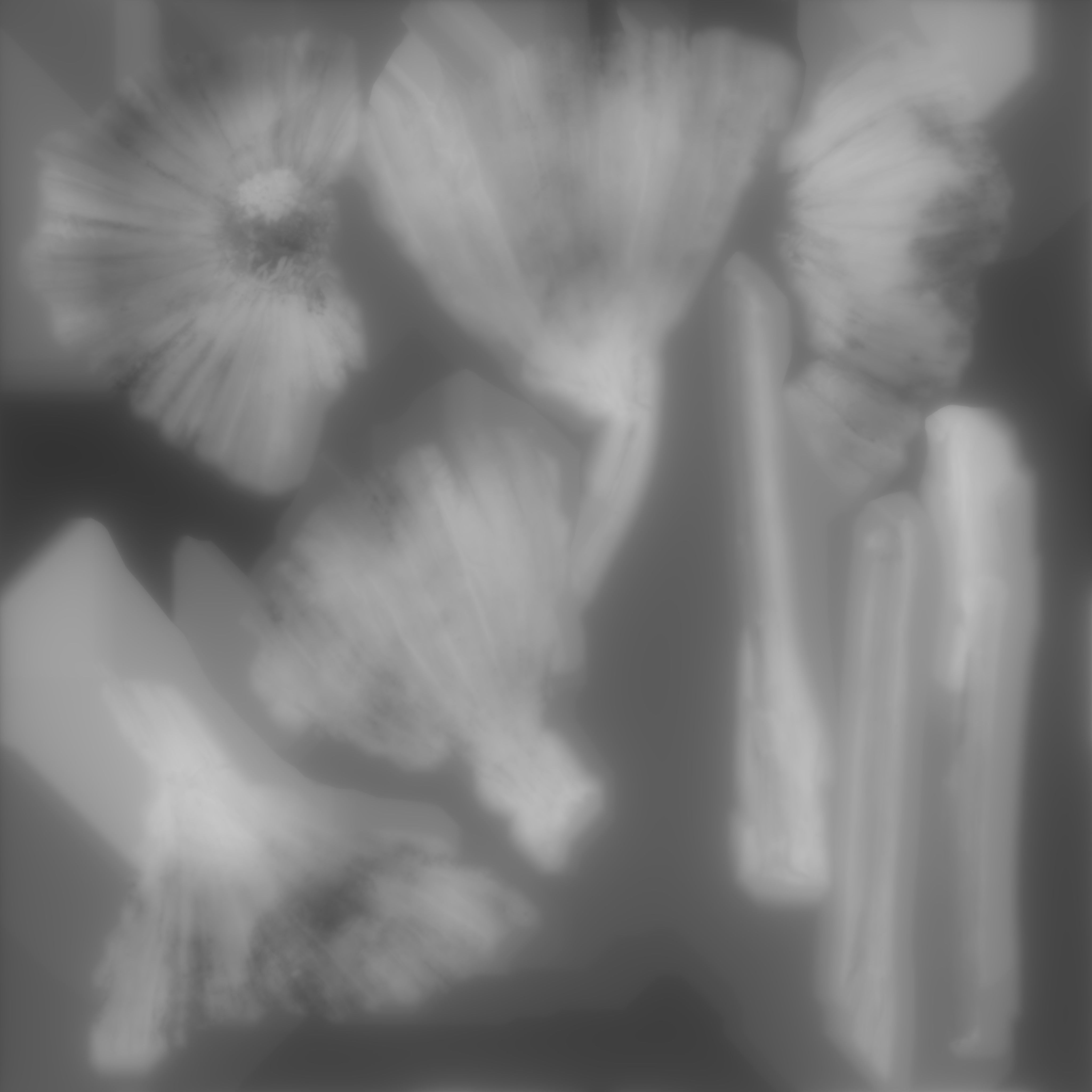 Garlic bulb Low-poly 3D model_11