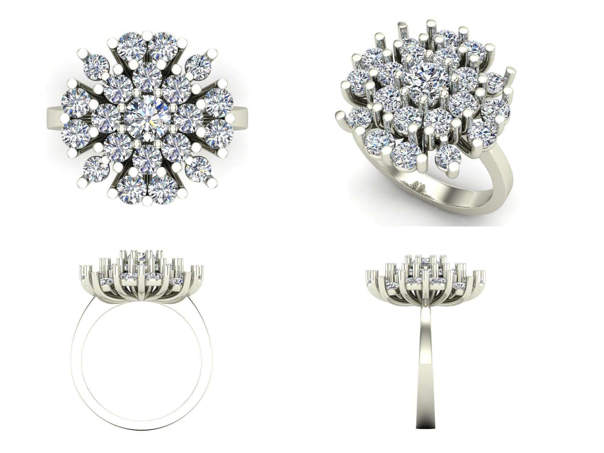 Ring bi 61 3D print model_3