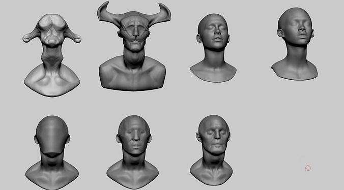 Base Head Models 3D model