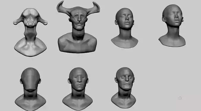 Base Head Models 3D model