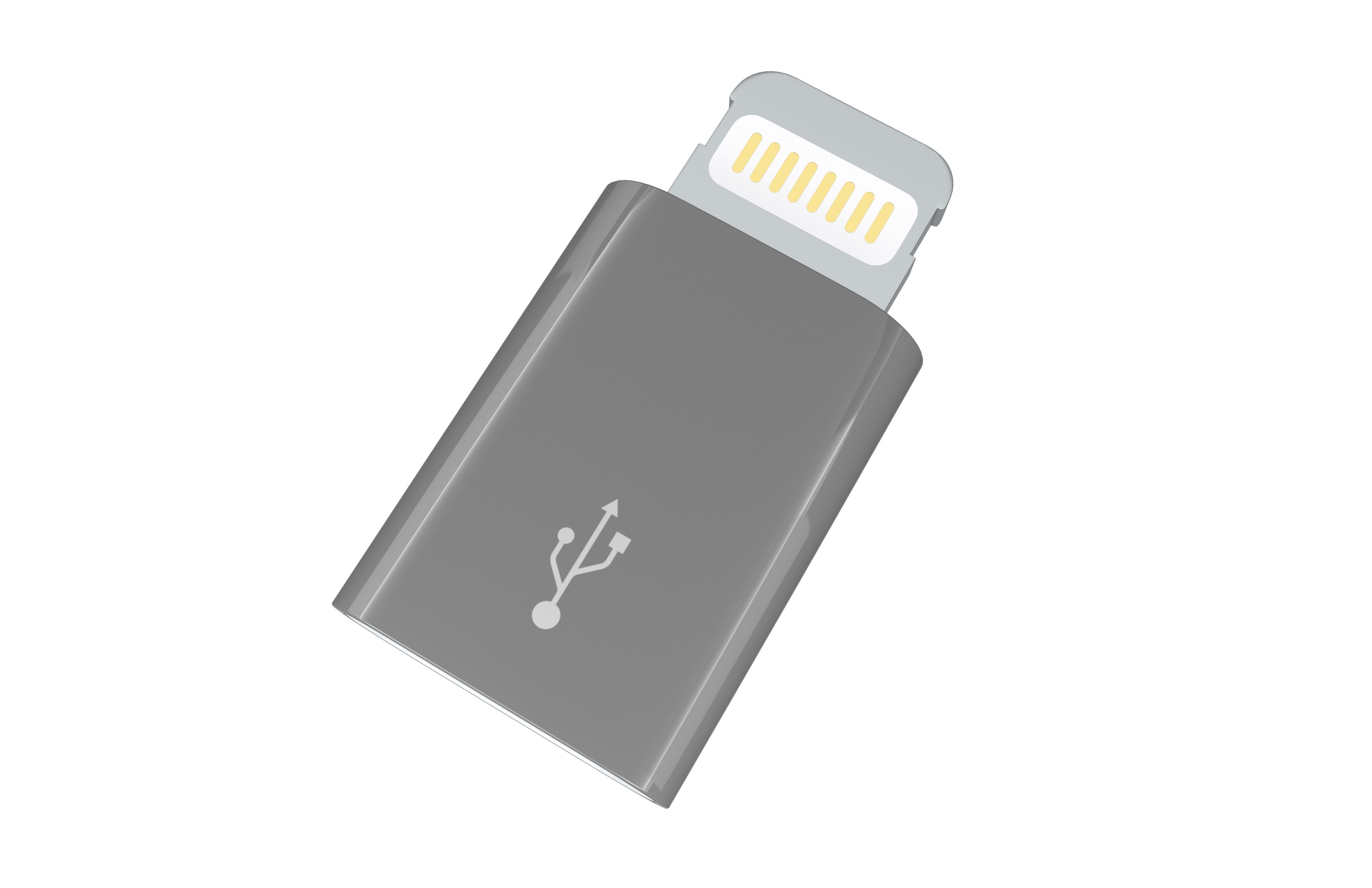 Lightning to Micro USB Converter v1 002 Low-poly 3D model_2