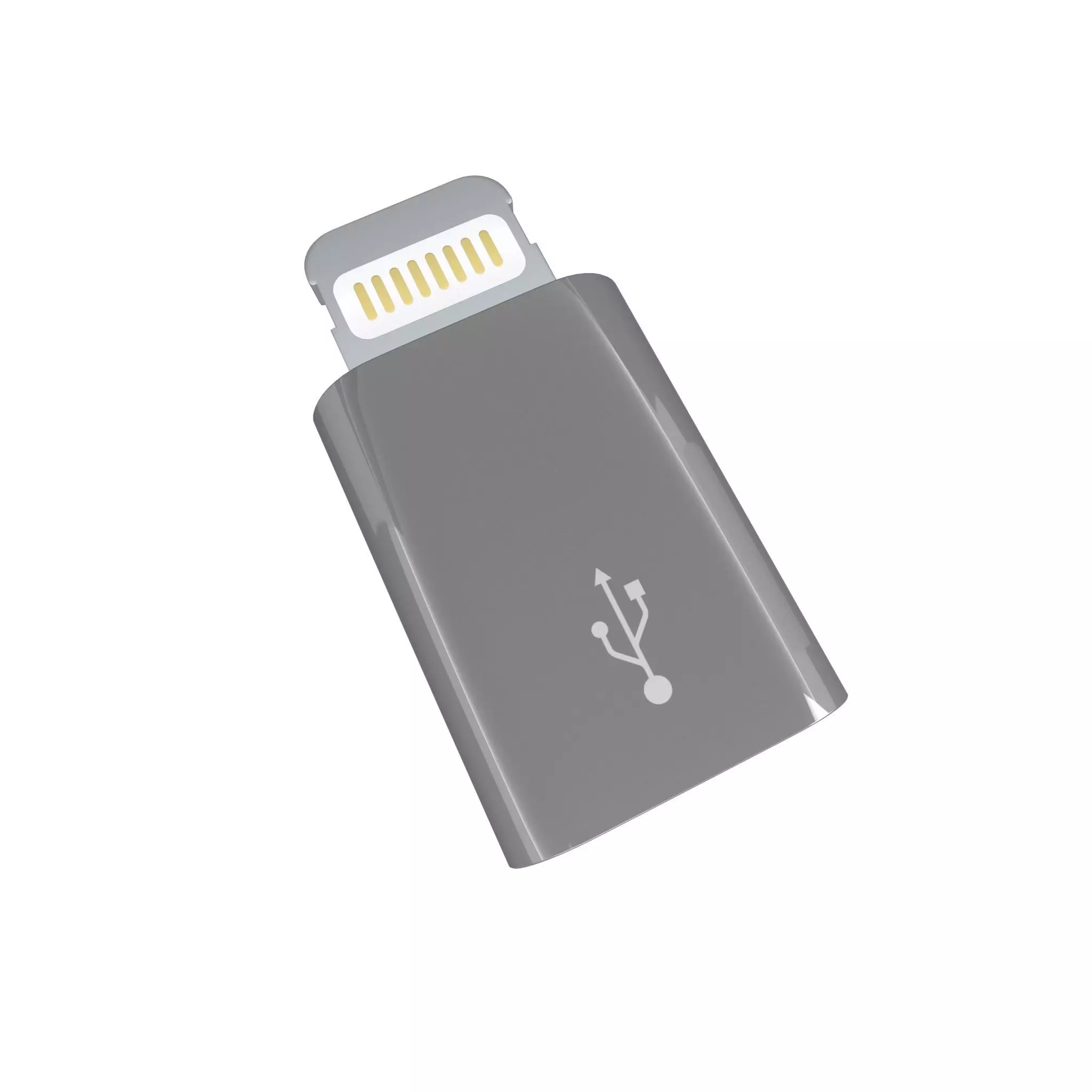 Lightning to Micro USB Converter v1 002 Low-poly 3D model_0
