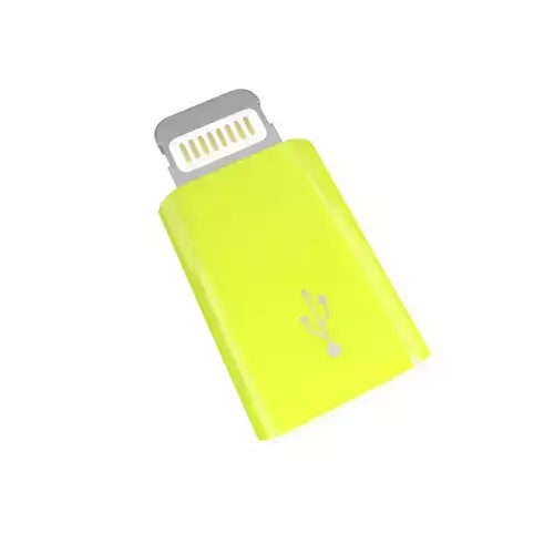 Lightning to Micro USB Converter v1 003