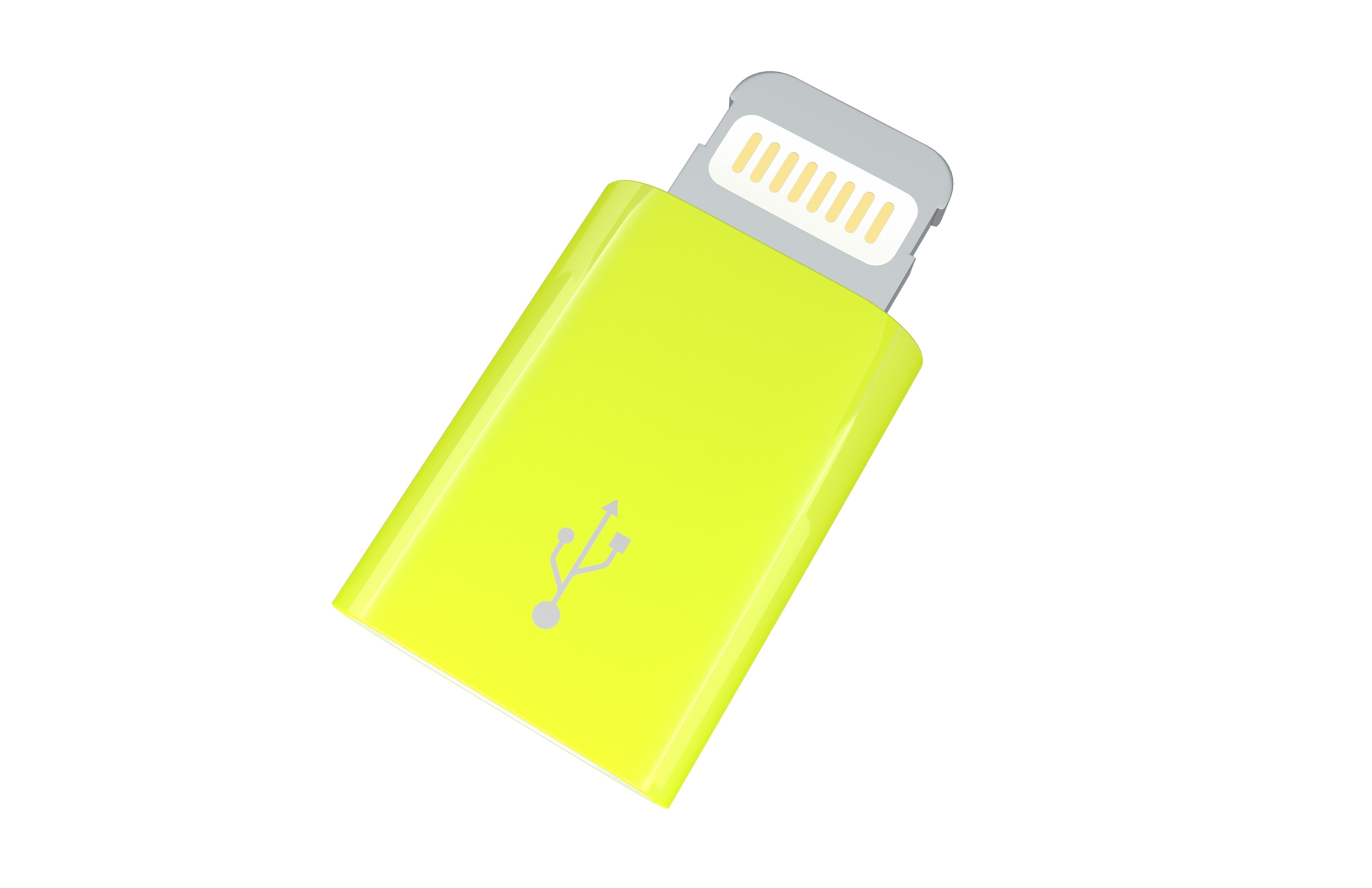 Lightning to Micro USB Converter v1 003 Low-poly 3D model_1