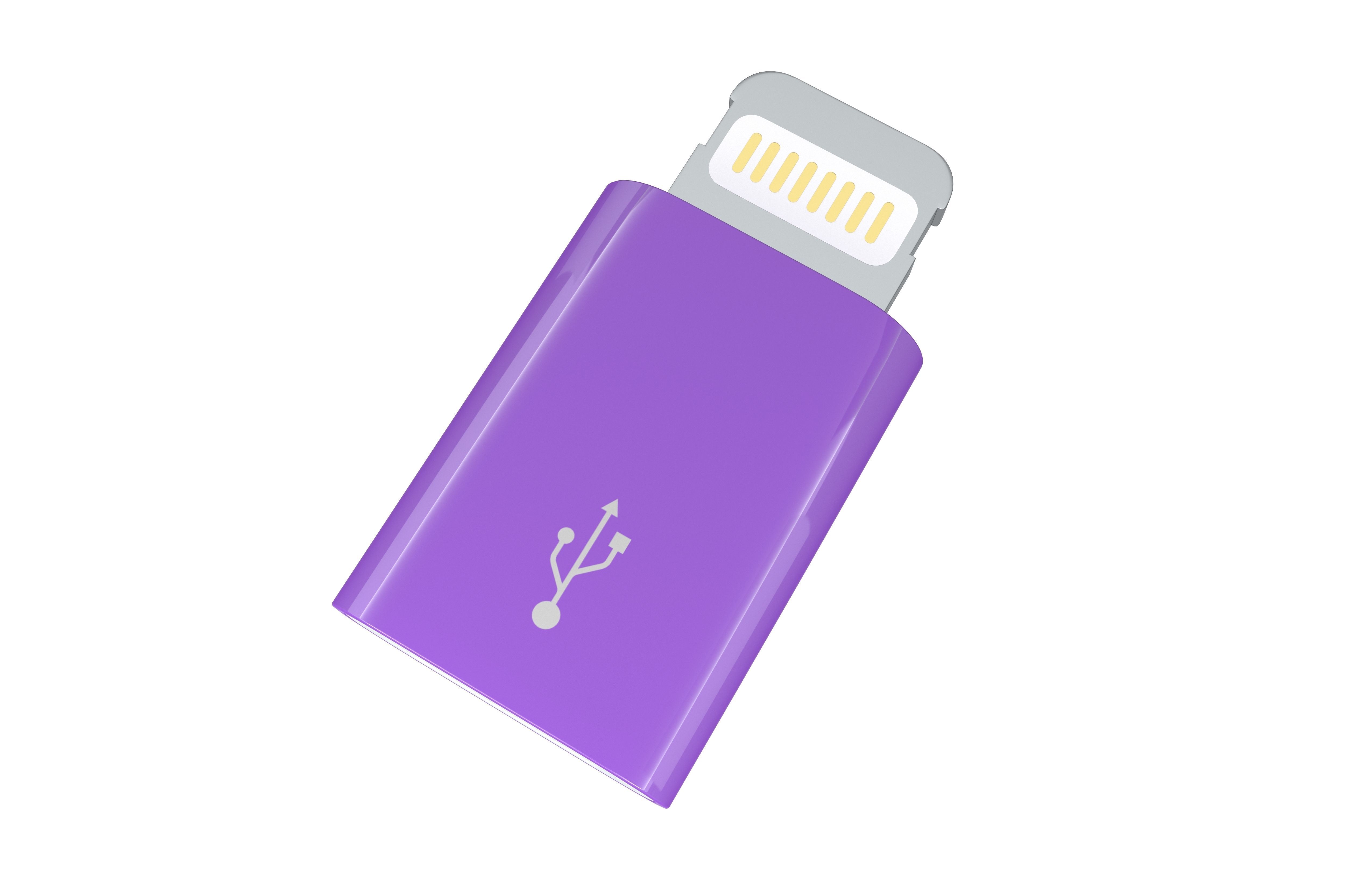 Lightning to Micro USB Converter v1 006 Low-poly 3D model_2