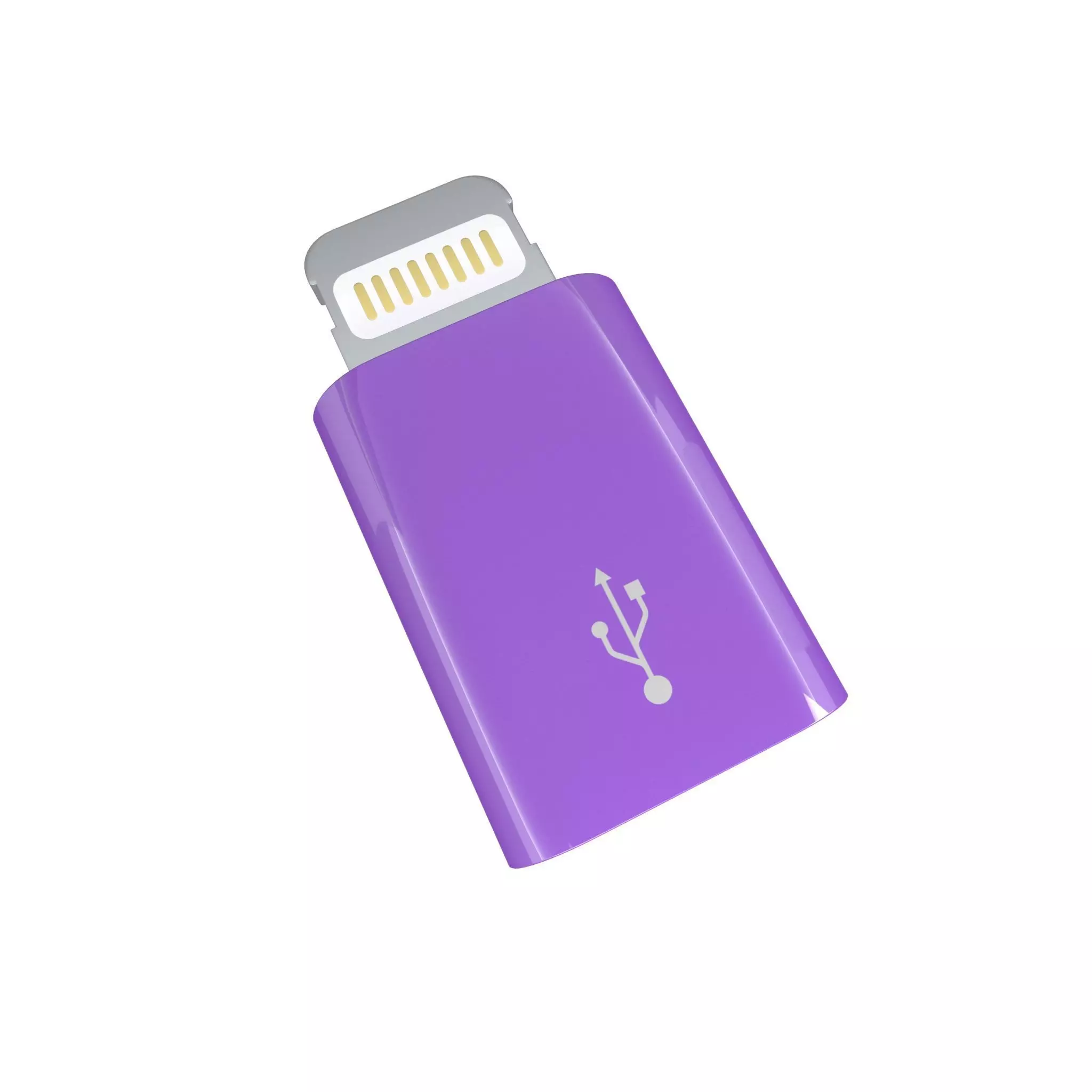 Lightning to Micro USB Converter v1 006 Low-poly 3D model_0