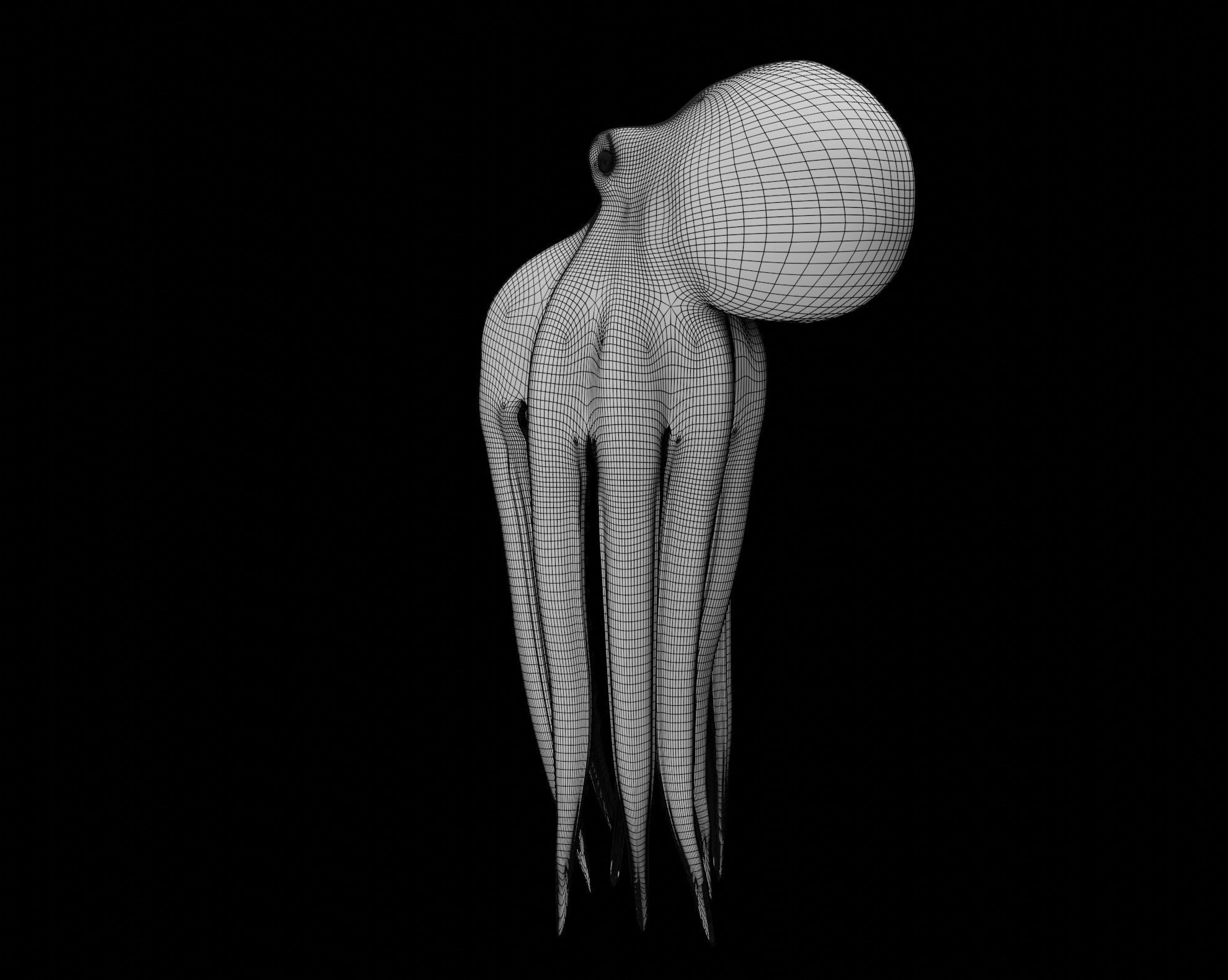 Animated Octopus 3D model_46