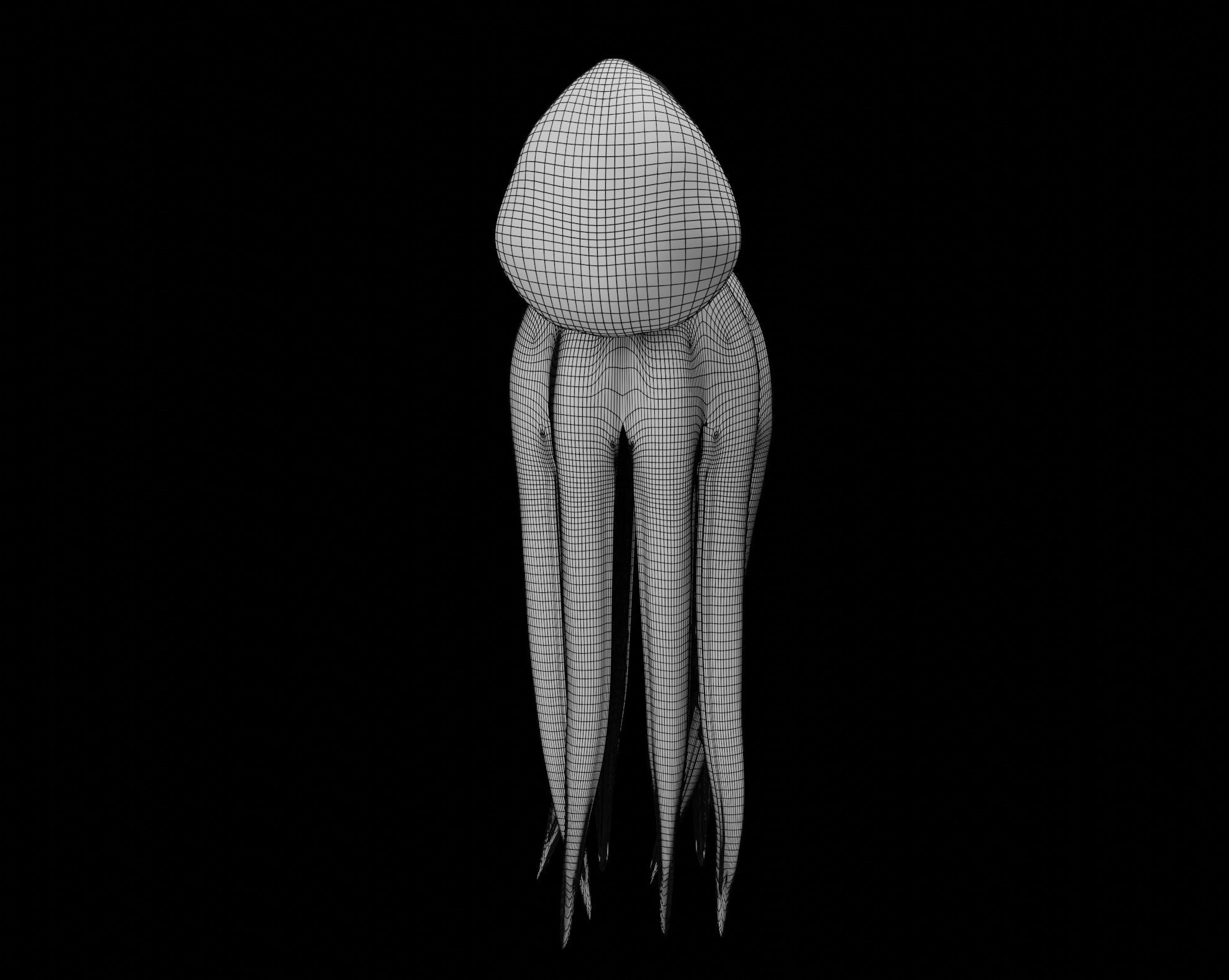 Animated Octopus 3D model_41