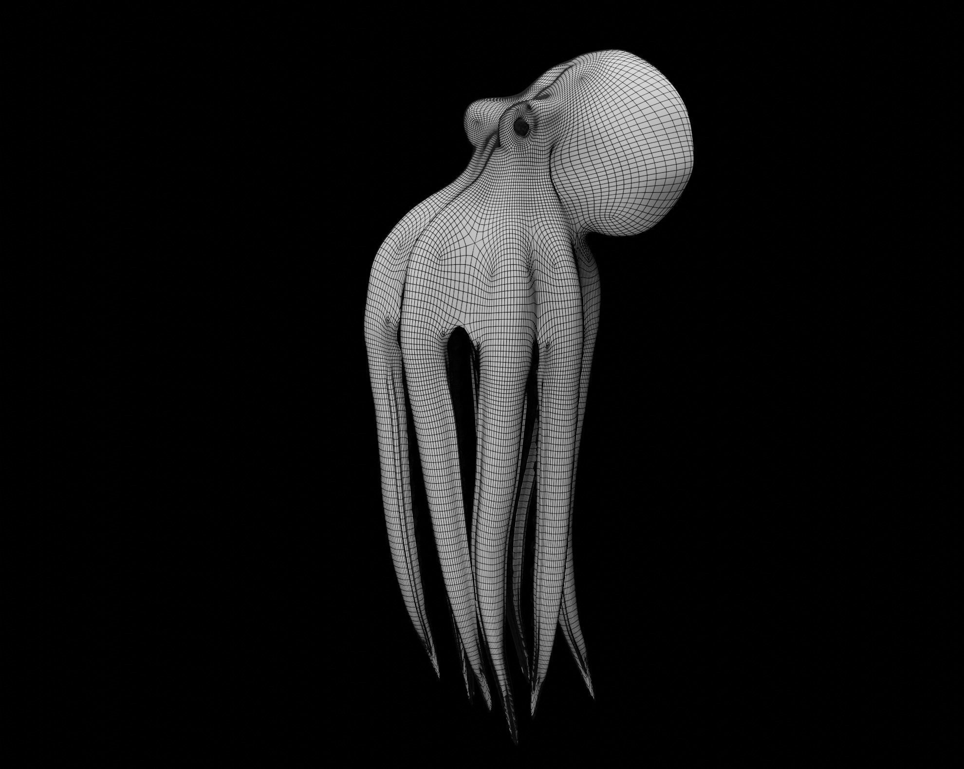 Animated Octopus 3D model_50