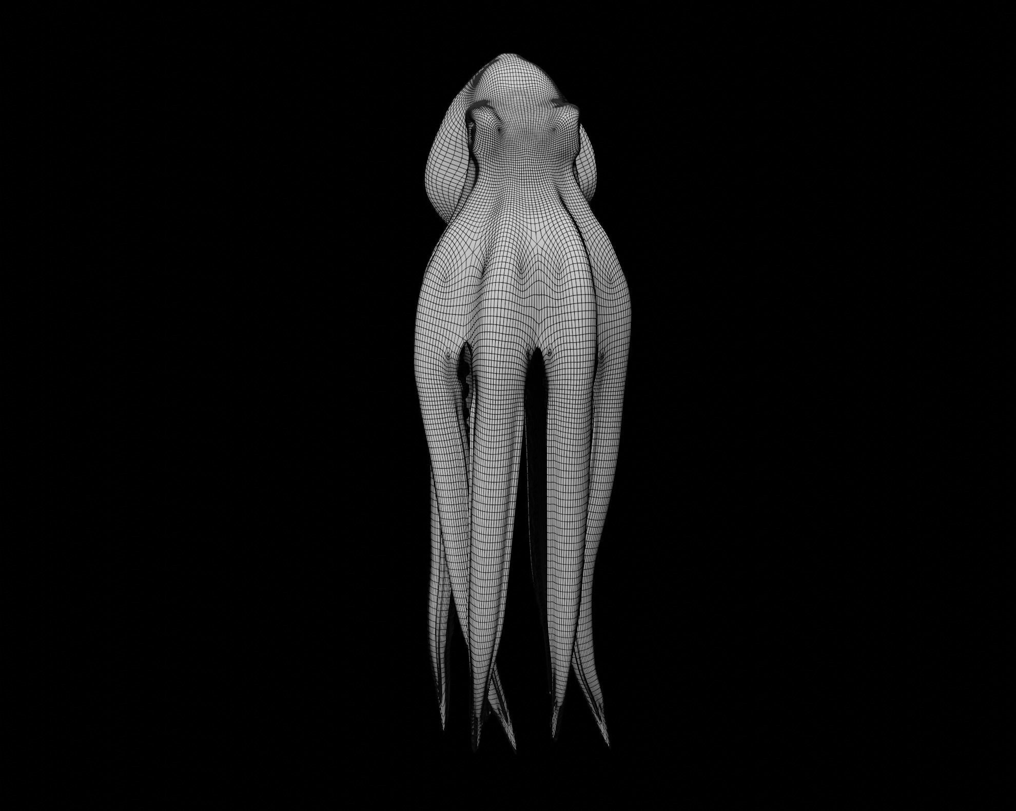 Animated Octopus 3D model_55