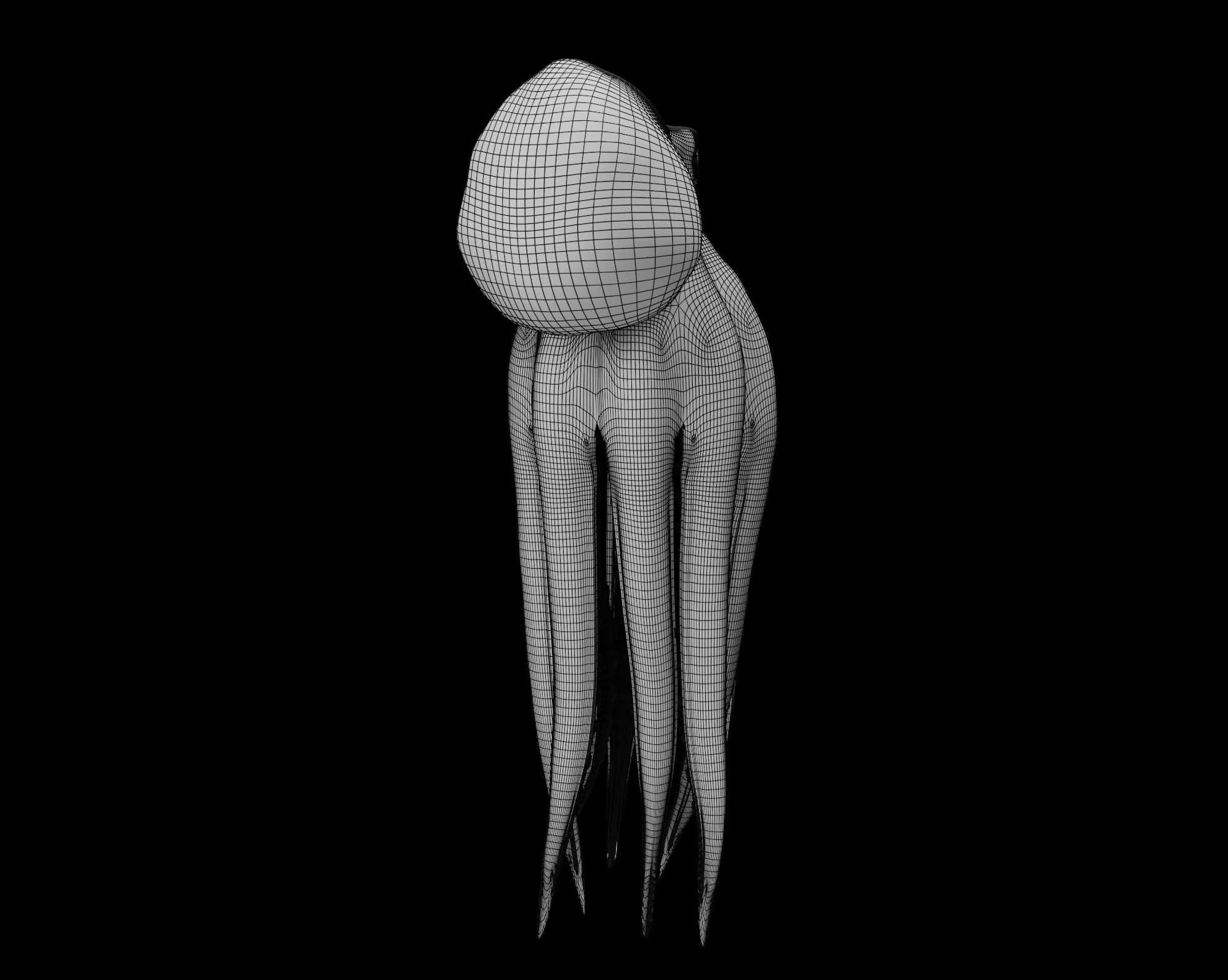 Animated Octopus 3D model_40