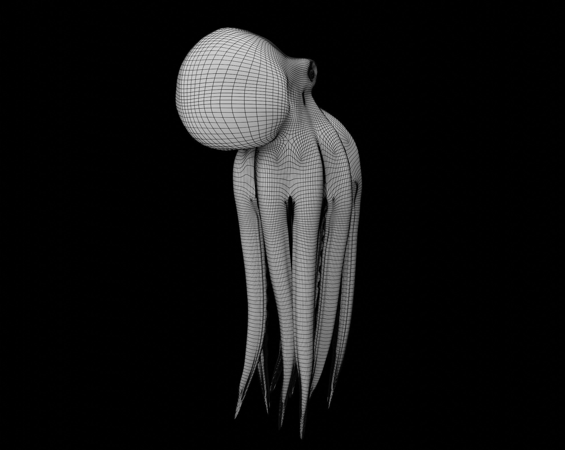 Animated Octopus 3D model_38