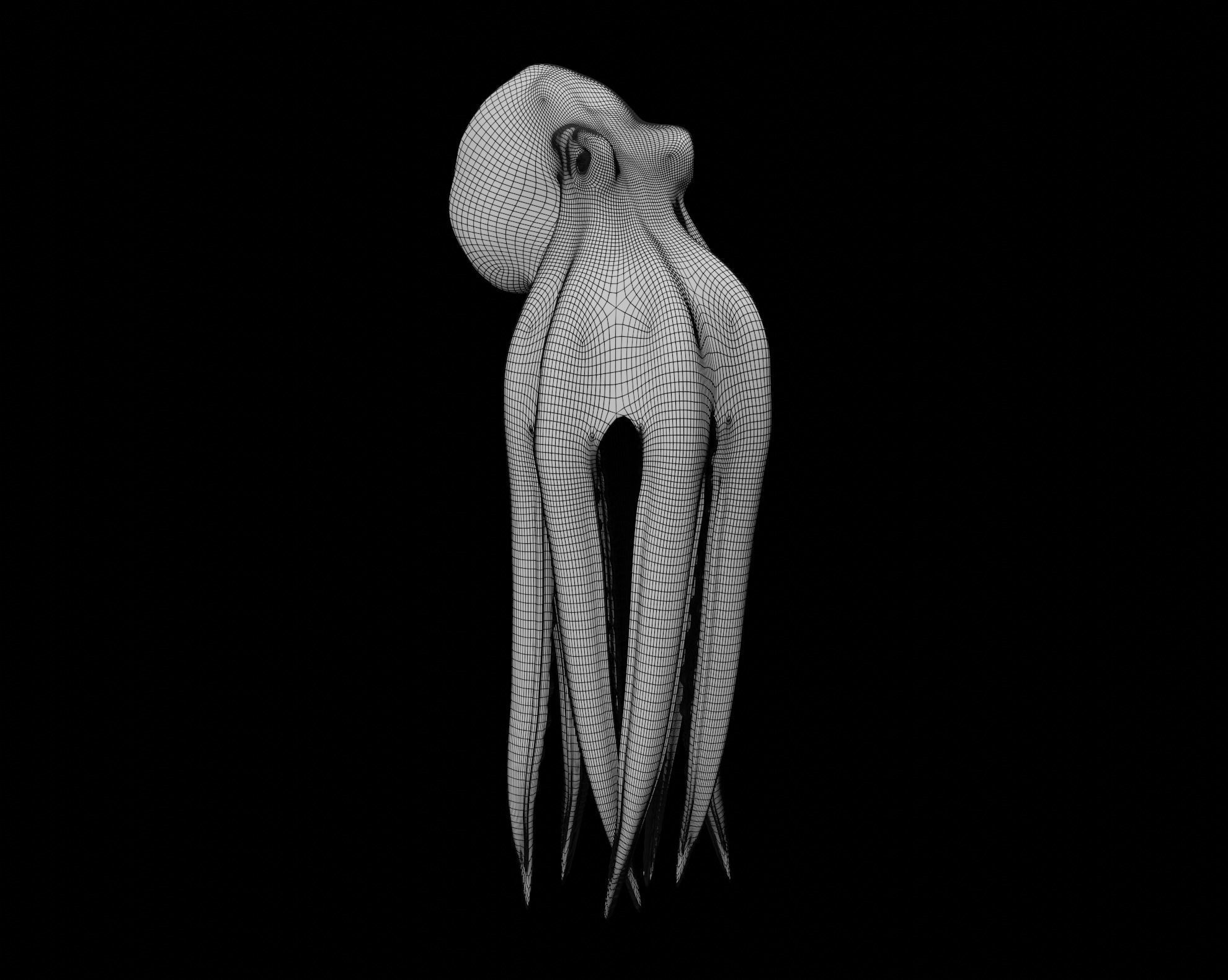 Animated Octopus 3D model_57