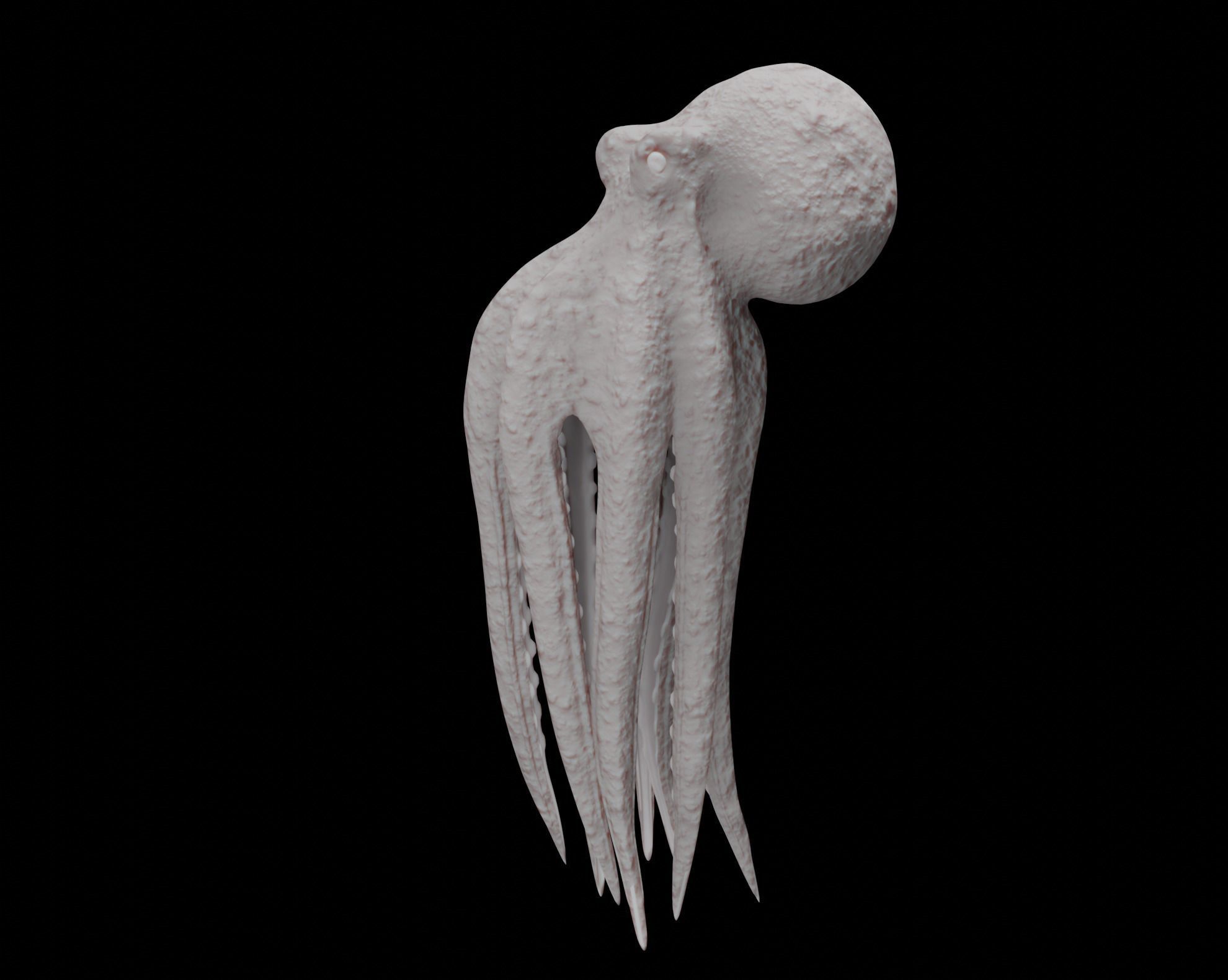 Animated Octopus 3D model_27