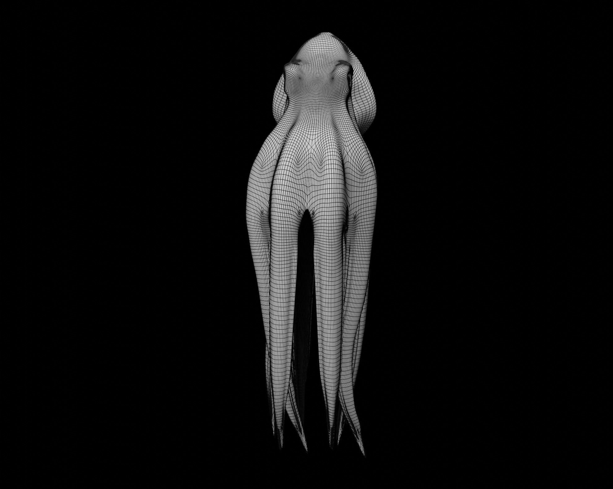 Animated Octopus 3D model_54
