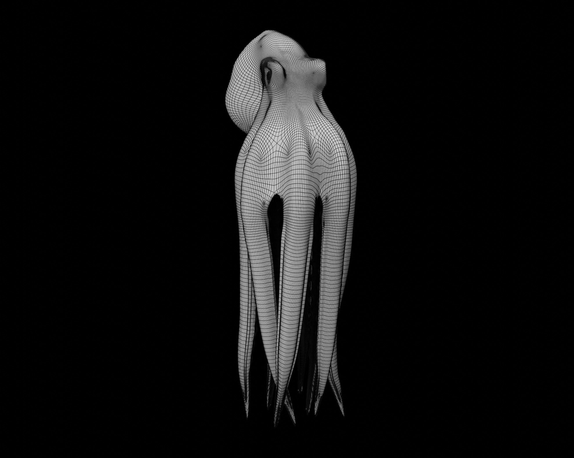Animated Octopus 3D model_56