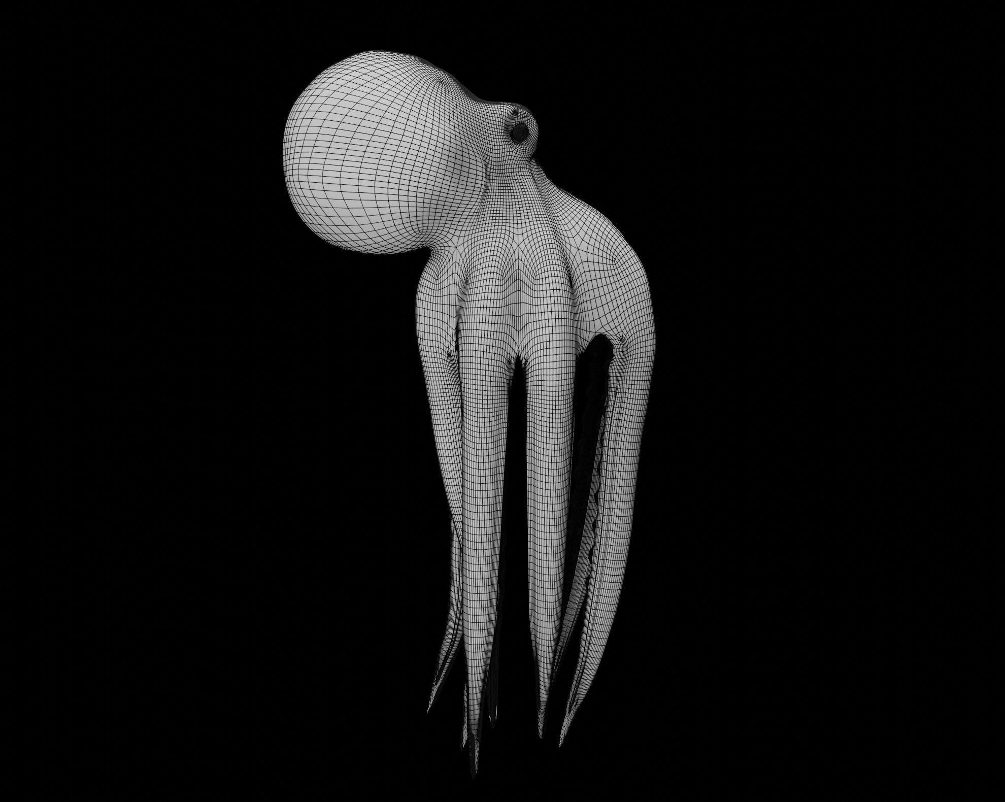 Animated Octopus 3D model_35