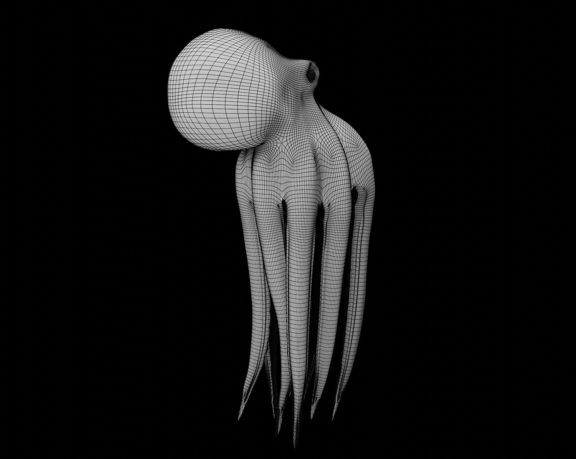Animated Octopus 3D model_37