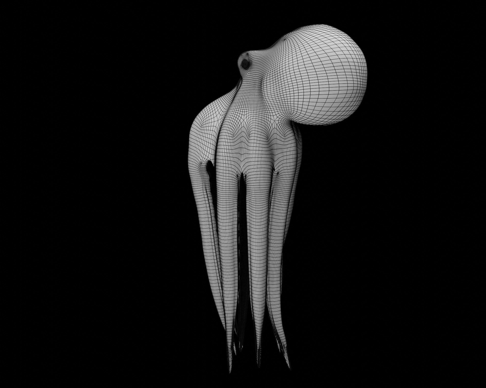 Animated Octopus 3D model_47