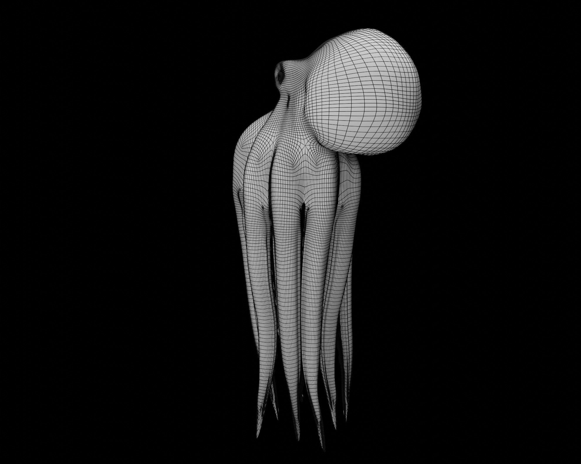 Animated Octopus 3D model_45