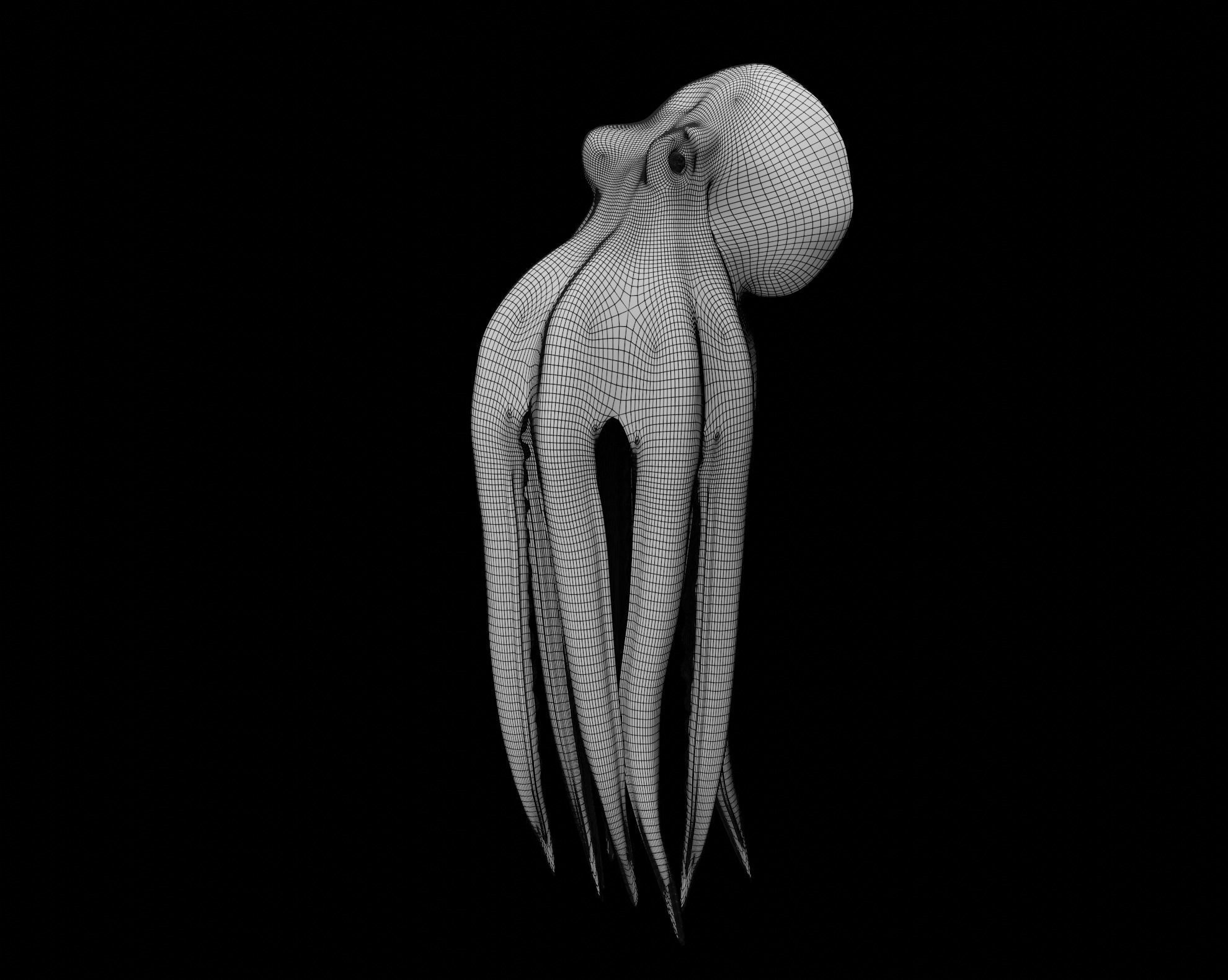 Animated Octopus 3D model_51