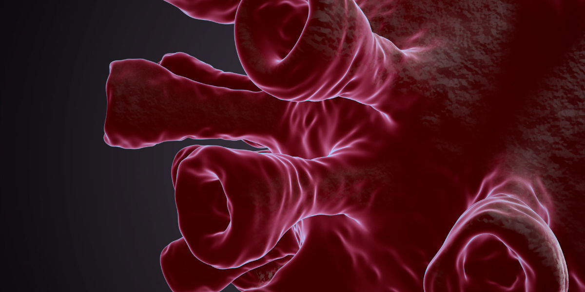 Virus - 3d Model And Animation 3D model_2