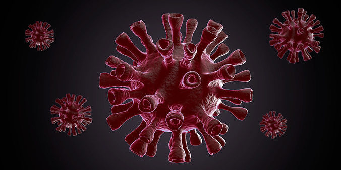 Virus - 3d Model And Animation 3D model