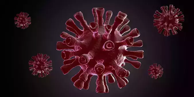 Virus - 3d Model And Animation 3D model