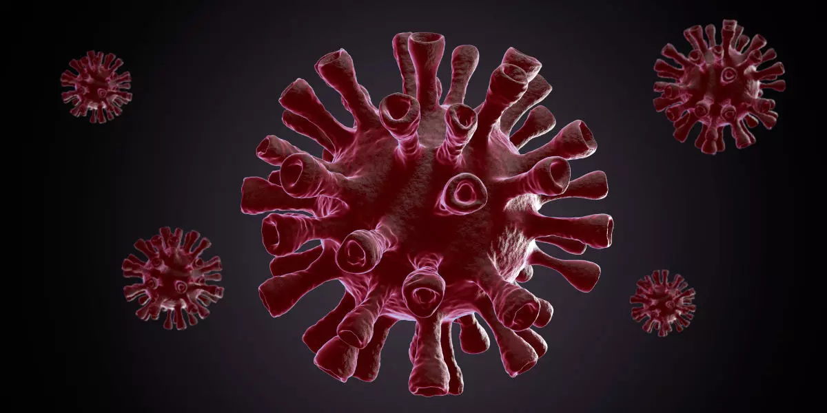 Virus - 3d Model And Animation 3D model_0