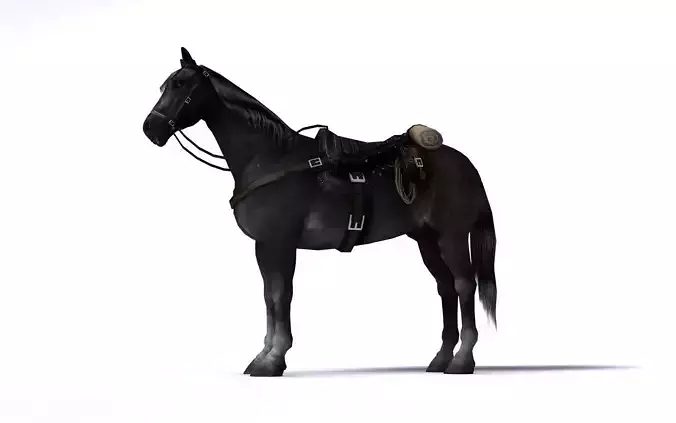 Black horse with saddle and bags Low-poly 3D model