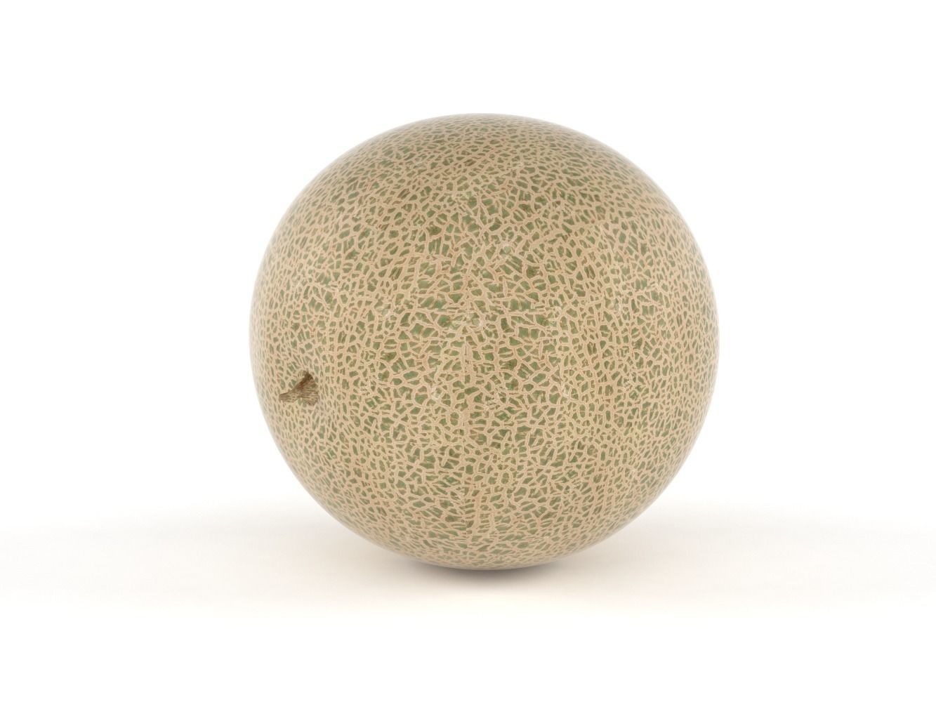 Cantaloupe melon 3D model_2