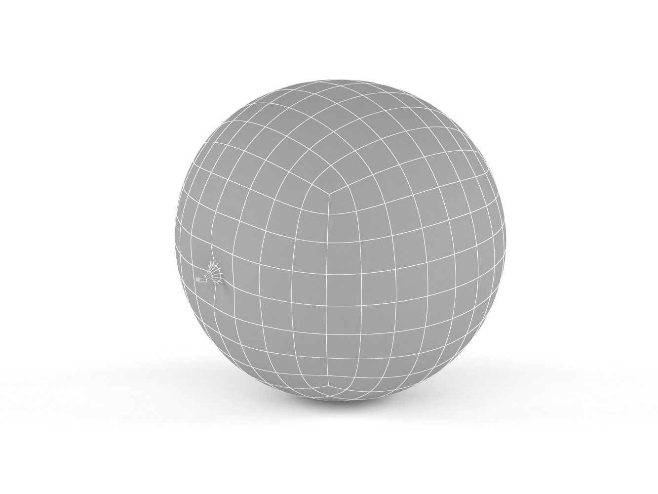 Cantaloupe melon 3D model_7