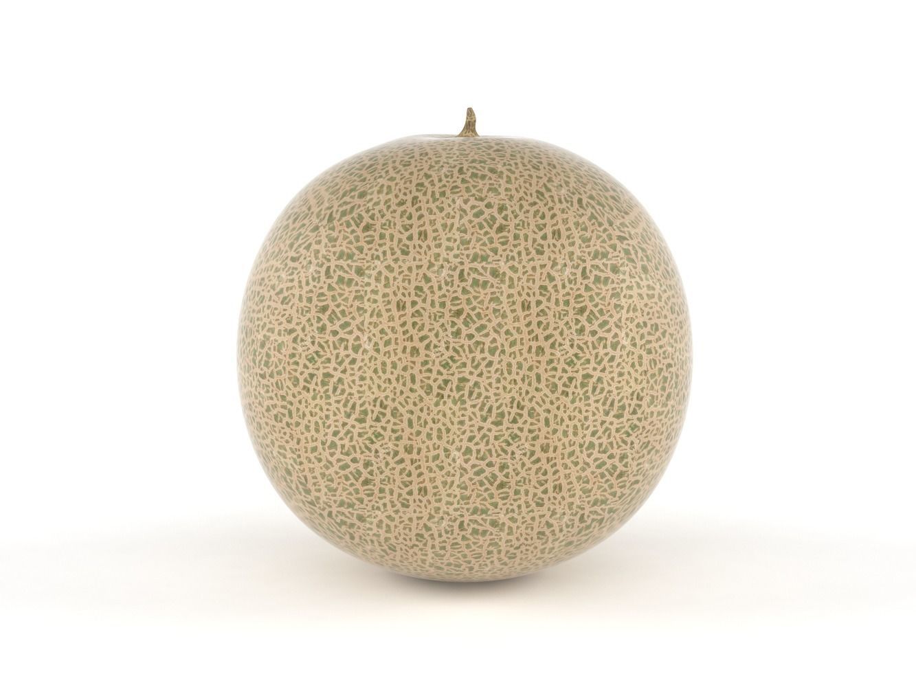 Cantaloupe melon 3D model_1