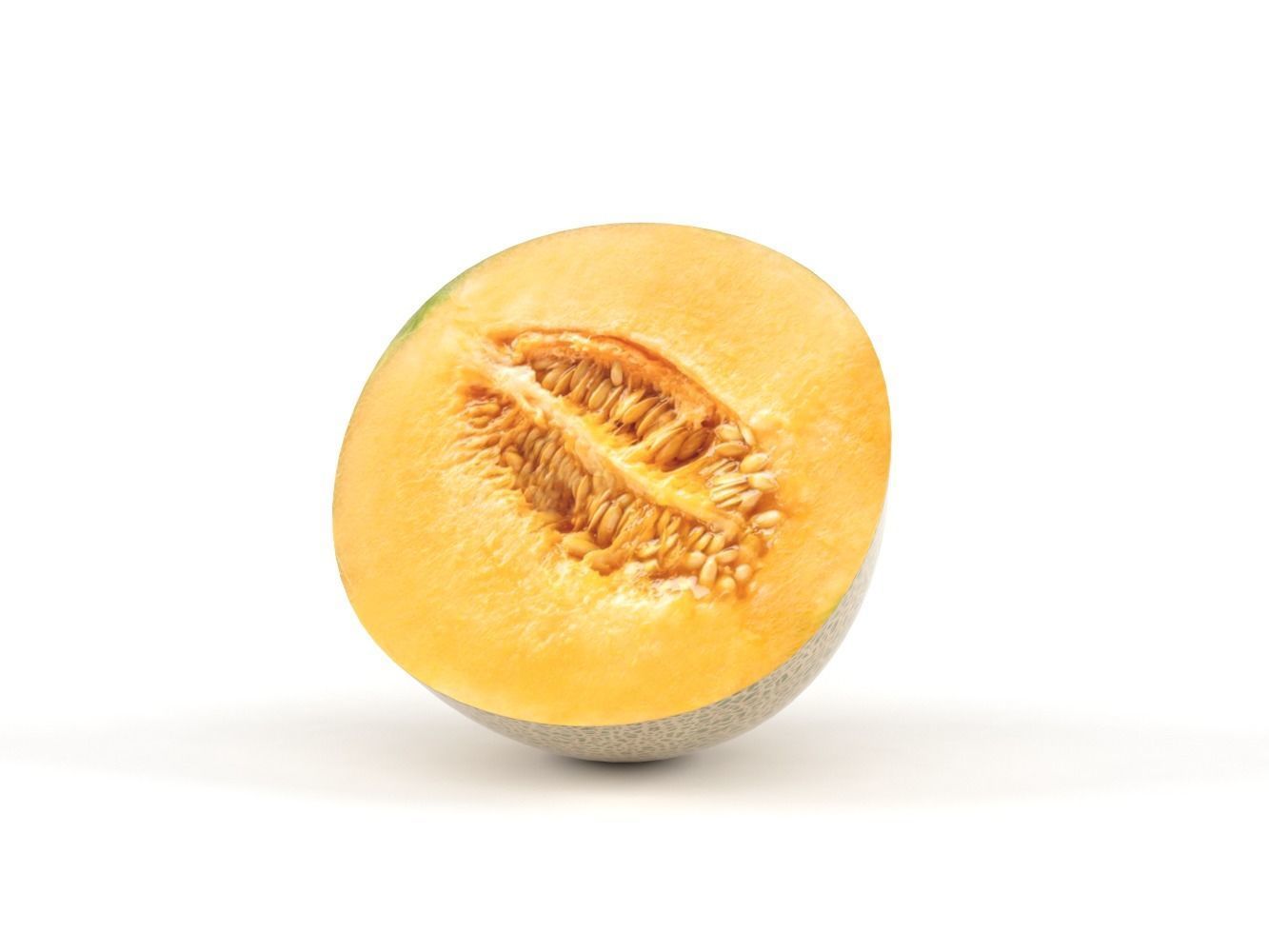 Cantaloupe melon 3D model_3