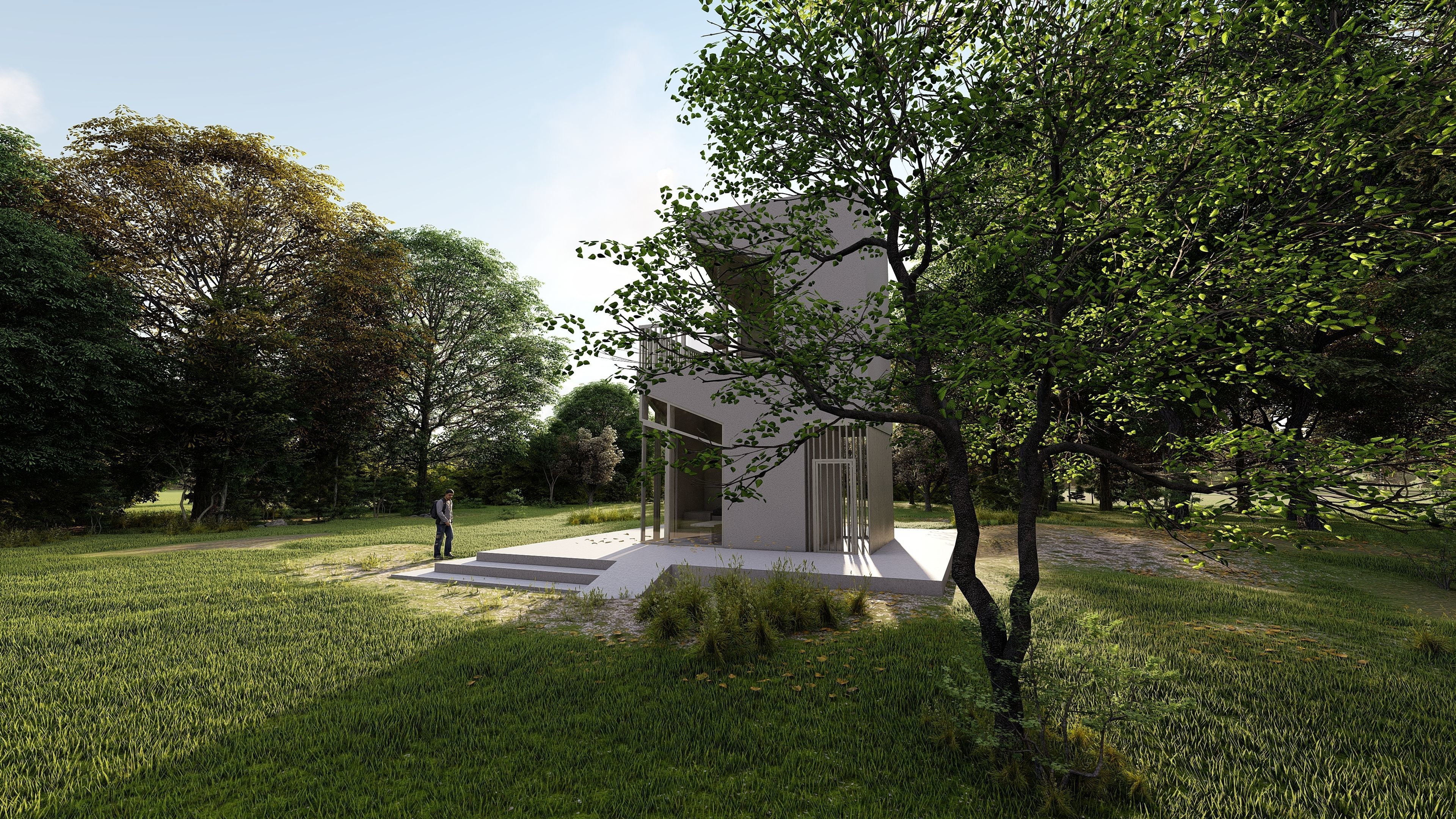 tiny forest house 3D model_6