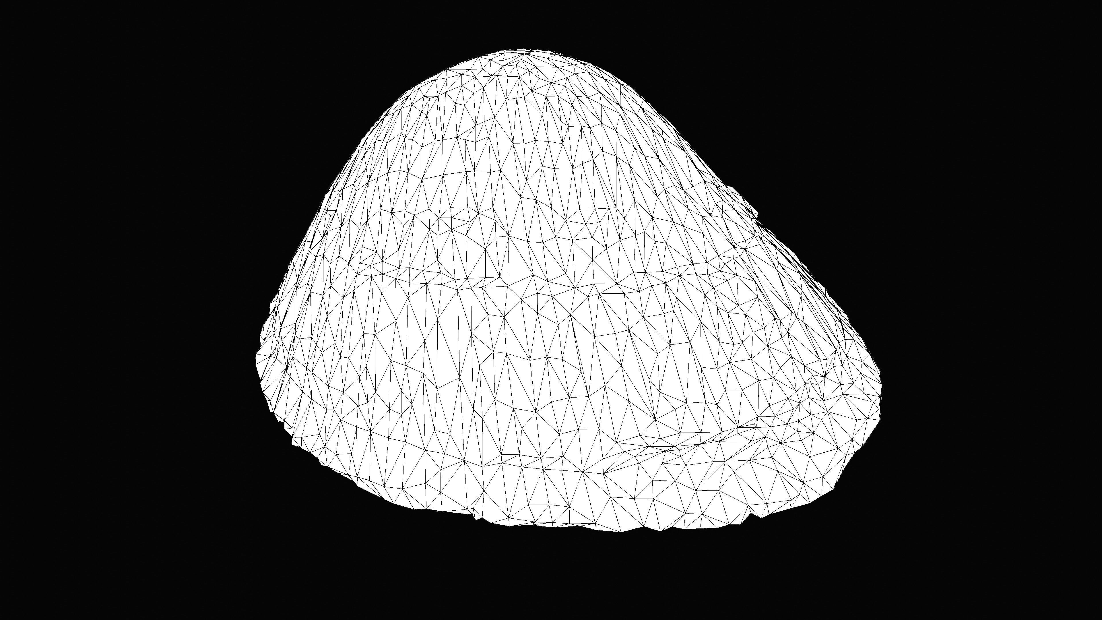 Cockie Sea Shell Low-poly 3D model_22
