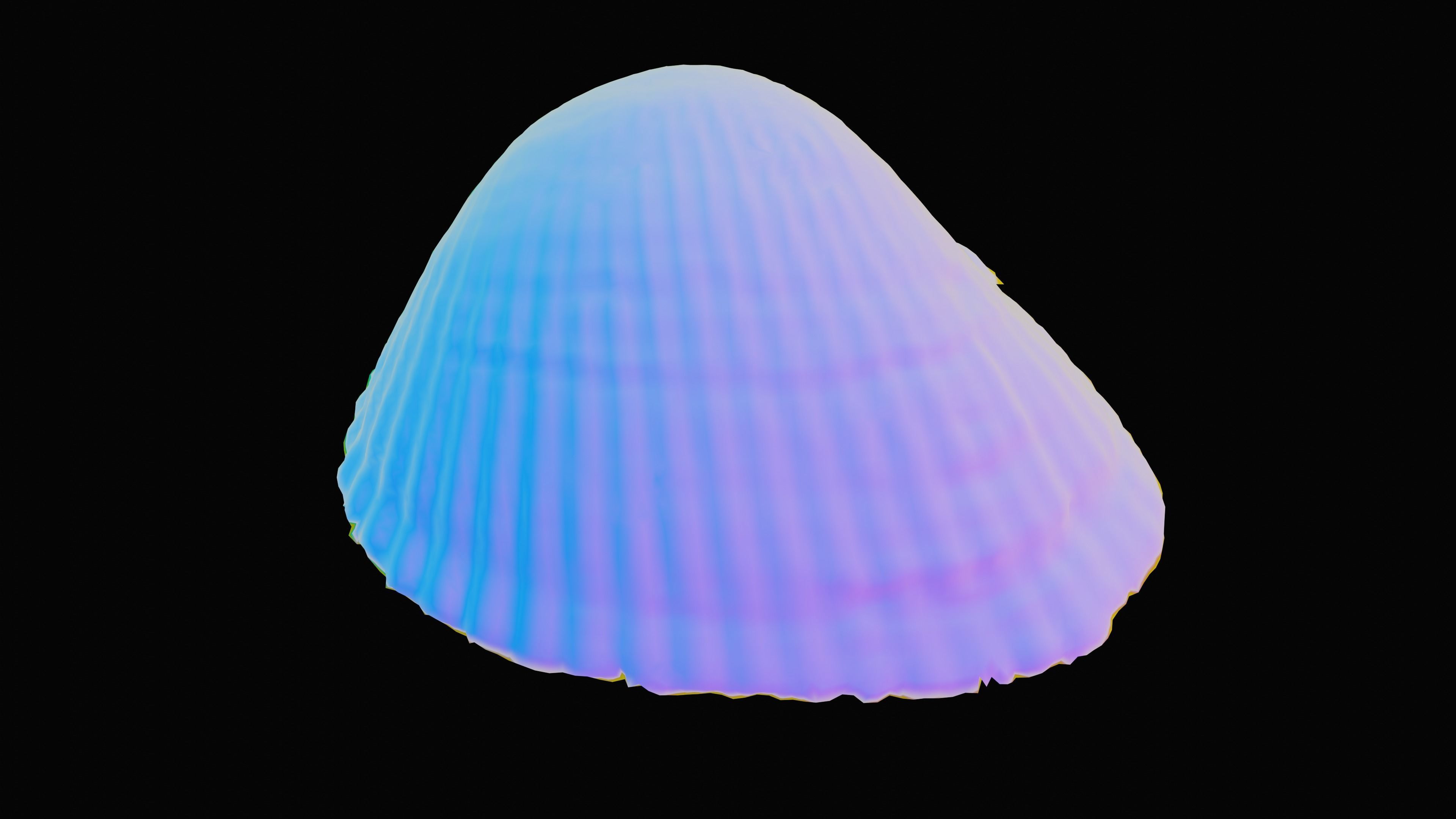 Cockie Sea Shell Low-poly 3D model_17