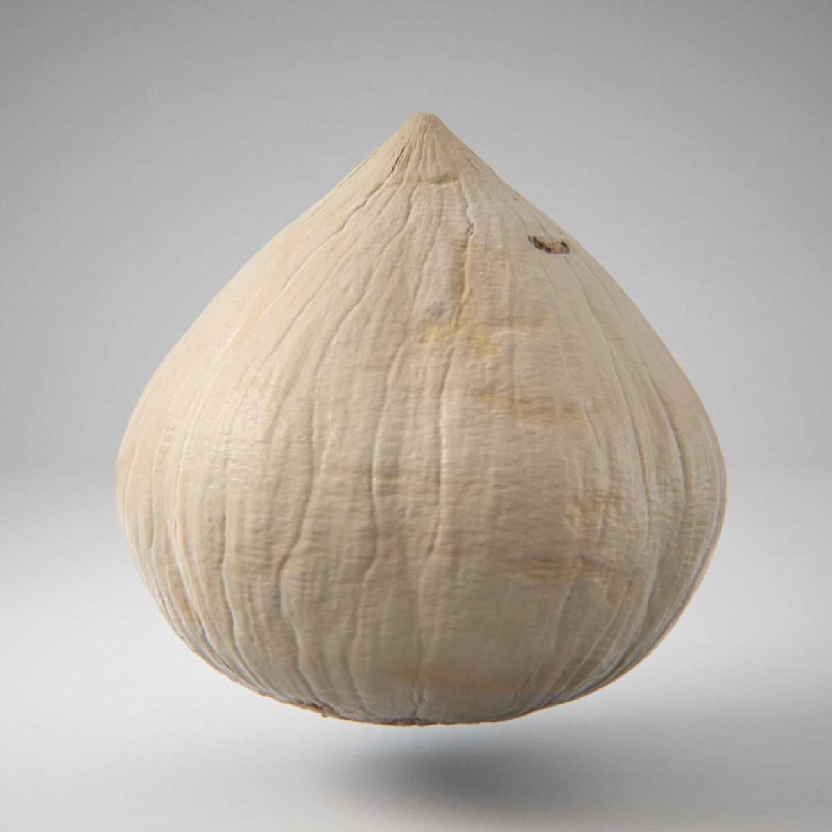 Hazelnut garlic bulb 3D model_4
