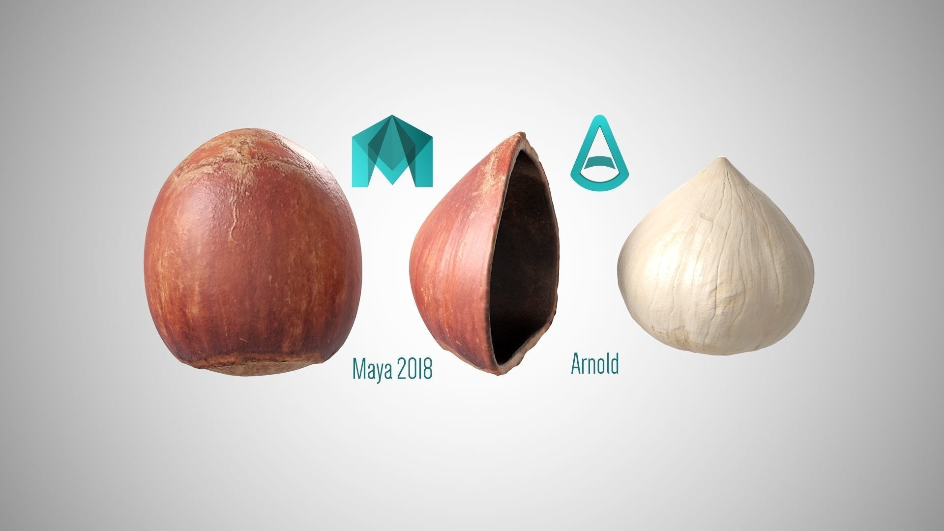Hazelnut garlic bulb 3D model_1