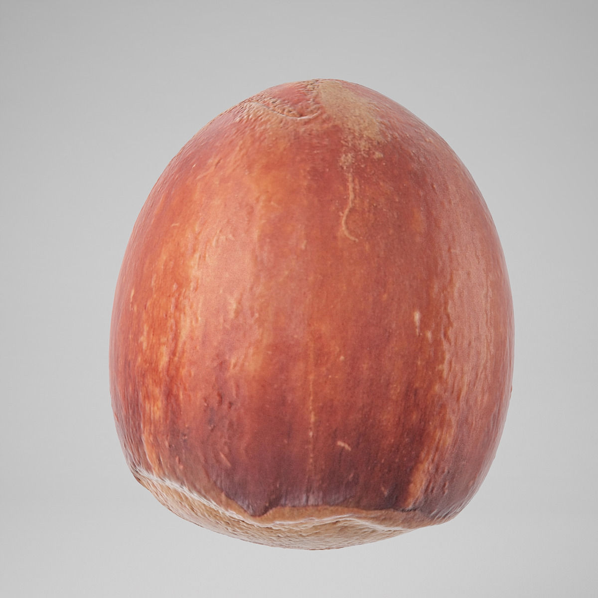 Hazelnut garlic bulb 3D model_9